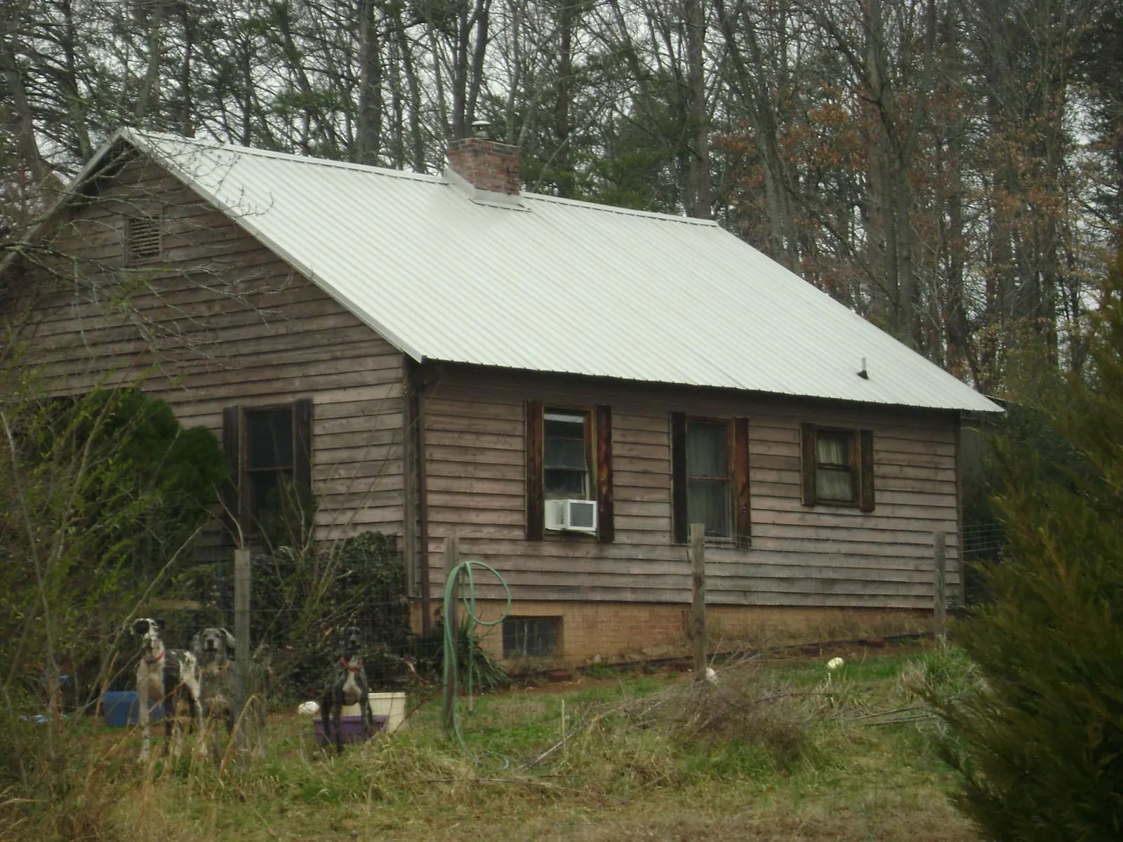 White metal roof on an old wood sided farmhouse, from a Asphalt Shingle Roof Repair job in Kirkwood
